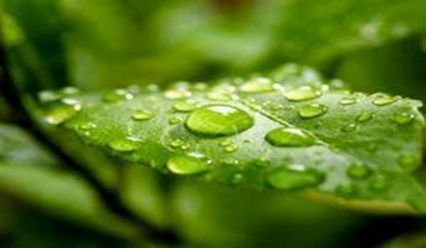 Vinit Fertilizers and Chemicals Product